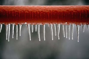 Can You Freeze Your Child’s Credit Report?